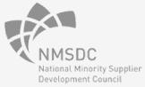 NMSDC icon
